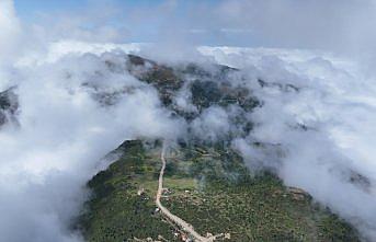 Sis Dağı Yaylası doğaseverlerin gözdesi oldu