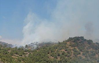 Tokat'ta çıkan orman yangınına müdahale ediliyor