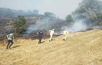 Tokat'ta çıkan yangında 10 dönümlük alan zarar gördü