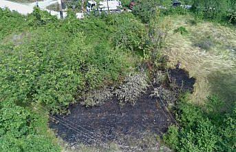 Türkeli'de otluk alanda çıkan yangın söndürüldü