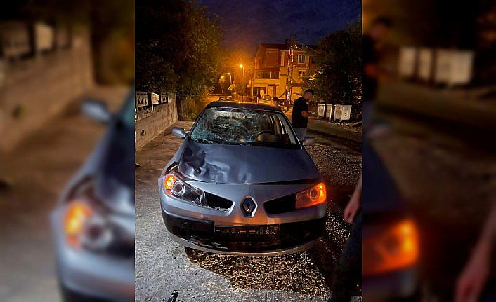 Türkeli'de otomobilin çarptığı inek telef oldu