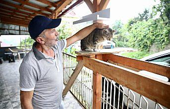Yaşama tutunmalarını sağladığı kedilerin bakımını aksatmıyor