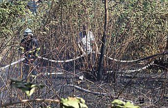 Zonguldak'ta iki noktada çıkan orman yangınları söndürüldü