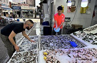 Ağlara erken takılan hamsi balıkçının yüzünü güldürdü