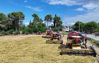 Alaçam'da Çeltik Hasat Festivali düzenlendi