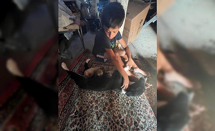 Amasya'da su borusuna sıkışan köpek yavruları kurtarıldı