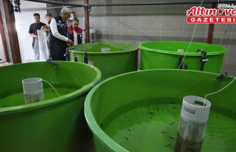 Balıkçılık ve Su Ürünleri Genel Müdürü Turgay Türkyılmaz Bolu'da incelemede bulundu