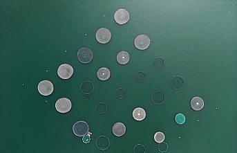 Bayburt'ta yetiştirilen Türk somonlarının Rusya'daki sofralara yolculuğu başladı