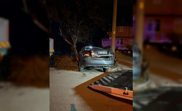 Bolu'da ağaca çarpan otomobildeki 2 kişi yaralandı