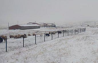 Doğu Karadeniz'in yüksek kesimleri beyaza büründü
