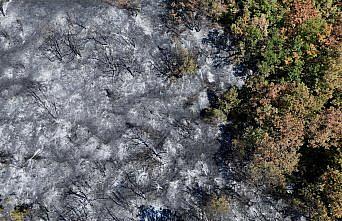 Düzce'deki yangında zarar gören alanlar havadan görüntülendi