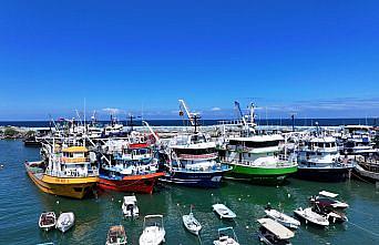 Düzceli balıkçıların yeni sezonda umudu hamsi