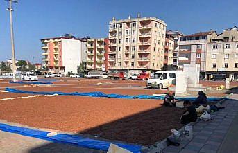 Espiye'de üreticilerin fındık kurutma mesaisi sürüyor