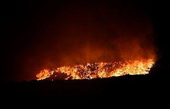 Giresun'da çöp toplama alanında çıkan yangın kontrol altına alındı