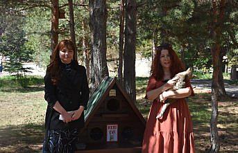 Gümüşhane Üniversitesi'nde “Kedi Evleri“ kuruldu