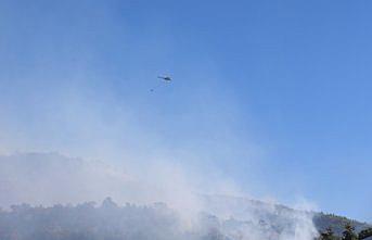 Antalya'nın Alanya ilçesindeki orman yangınına müdahale sürüyor