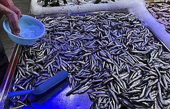 Hamsinin geleceği için 6 ülkeye ortak karar çağrısı