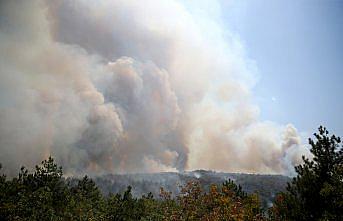Karabük'te başlayan yangın Kastamonu'ya ulaştı