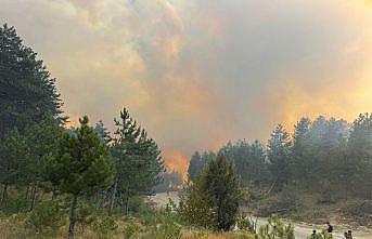Karabük'te çıkan orman yangınına müdahale ediliyor