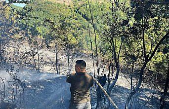 Kastamonu'da çıkan yangın ormanlık alana sıçramadan söndürüldü
