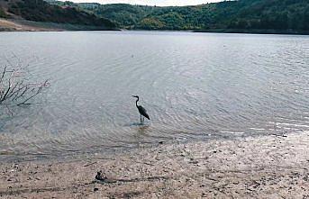 Kızılcapınar Barajı'nda su seviyesi 100 kotun altına indi