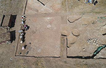 Nerik'te 3 bin 500 yıllık fındık fosili bulundu