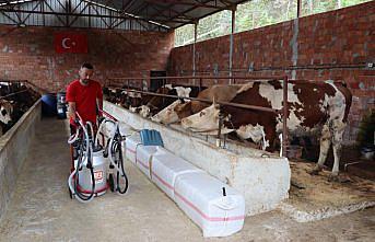 Ordu'da süt üreticisine destek verildi