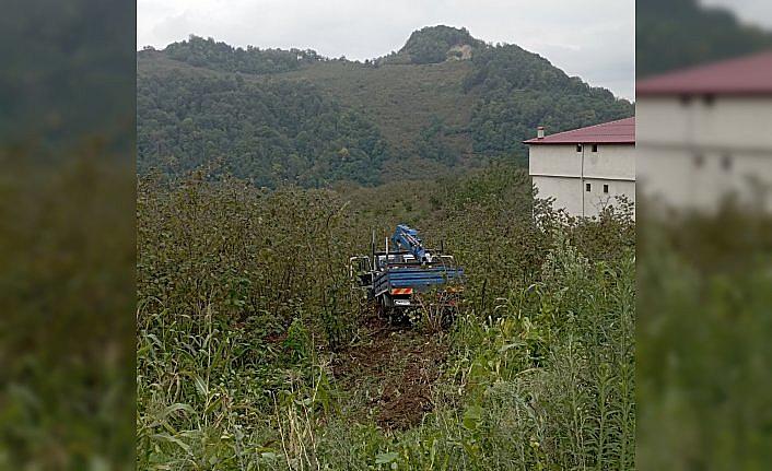 Samsun'da fındık bahçesine yuvarlanan kamyonetteki 3 kişi yaralandı