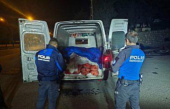 Samsun'da kaçak avlanan 5 ton midye ele geçirildi