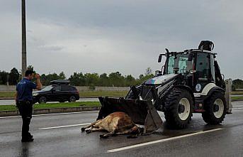 Samsun'da trafik kazalarında 3 kişi yaralandı