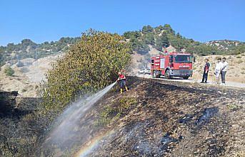 Taşova'da otluk alanda çıkan yangın söndürüldü