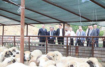 Tokat Valisi Köklü, TOGÜ'yü ziyaret etti