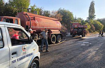 Tokat'ta çıkan orman yangını kontrol altına alındı