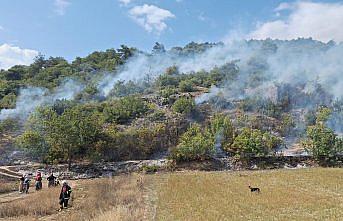 Tokat'ta ormanlık alanda çıkan yangın söndürüldü