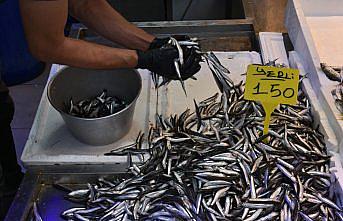 Trabzon'da hamsi ve istavrit 150 liradan satışa sunuluyor