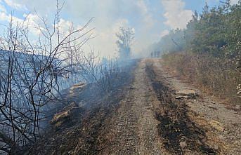 Zonguldak'ta çıkan örtü yangını kontrol altına alındı