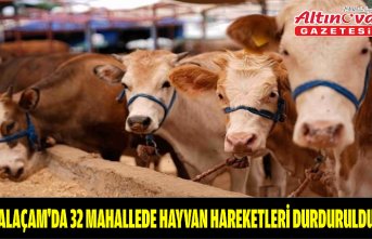 Alaçam'da 32 mahallede hayvan hareketleri durduruldu