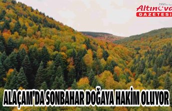Alaçam'da sonbahar doğaya hakim oluyor