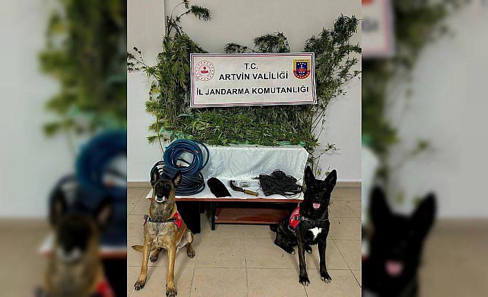 Artvin'de uyuşturucu ticareti yaptığı gerekçesiyle 1 zanlı tutuklandı