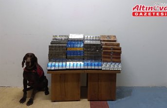 Bolu'da yolcu otobüsünde 1650 paket kaçak sigara ele geçirildi
