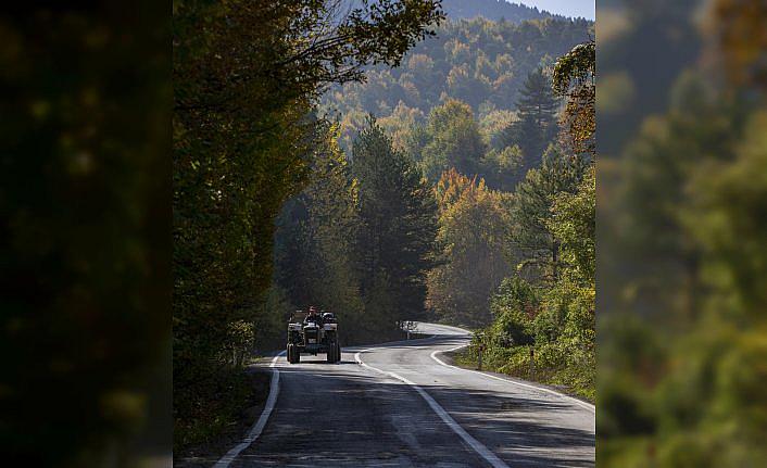 Bolu'da ormanlık alanlar sonbahar renklerine büründü