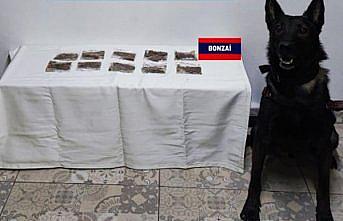 Bolu'da uyuşturucu operasyonunda 7 şüpheli gözaltına alındı