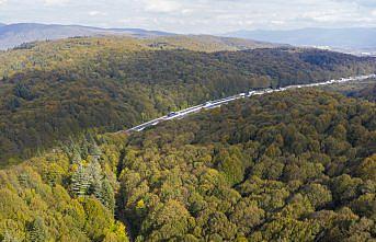 Bolu'dan geçen sürücüler sonbahar renkleri arasında yolculuk yapıyor