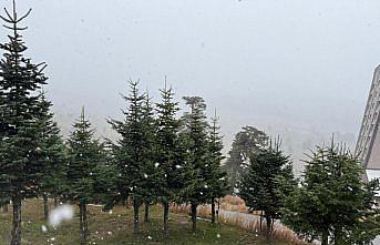 Bolu'nun yüksek kesimlerine kar yağdı
