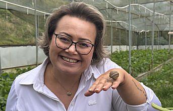 Çiftliğinde elde ettiği salyangoz özünü kozmetik sektörüne taşıdı