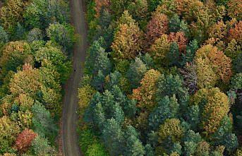 Düzce, Sakarya ve Bolu'da sonbaharın tonları doğayı renklendirdi