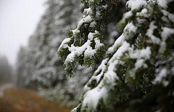 Ilgaz Dağı'nda kar ve sis etkili oldu