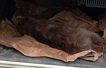 Karabük'te çıktığı ağaçta mahsur kalan ayı yavrusu kurtarıldı