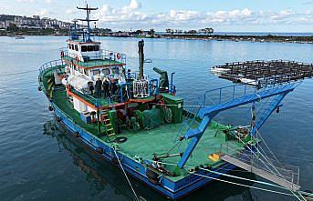 Karadeniz'de balık stoklarının araştırılmasına yönelik çalışmalar devam ediyor