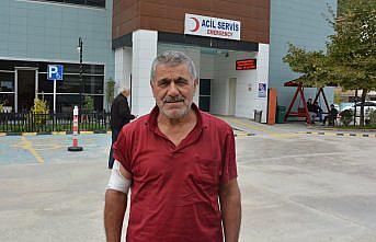 Kastamonu'da ayıdan kaçarken düşen çiftçi yaralandı